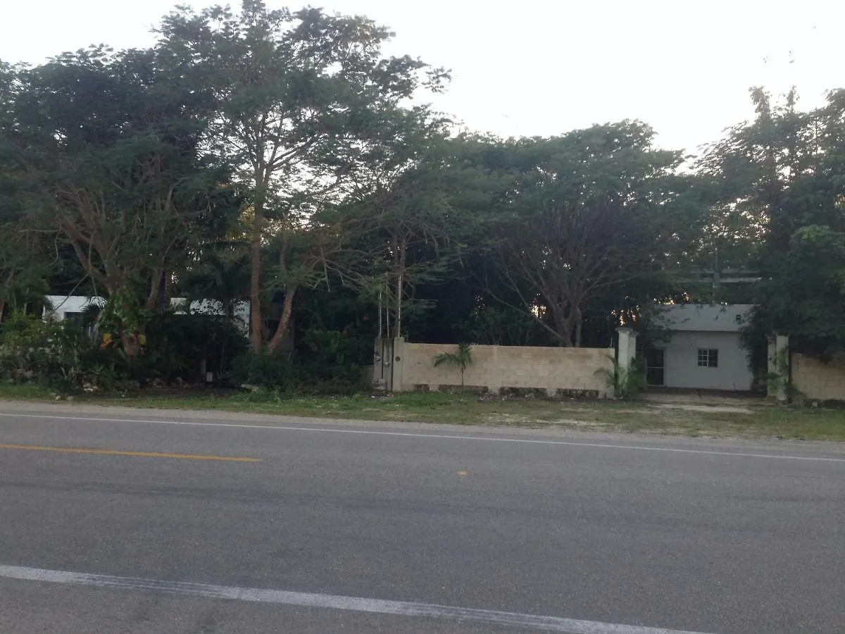 Carretera Tulum - Coba Km10 Hotel 0*,