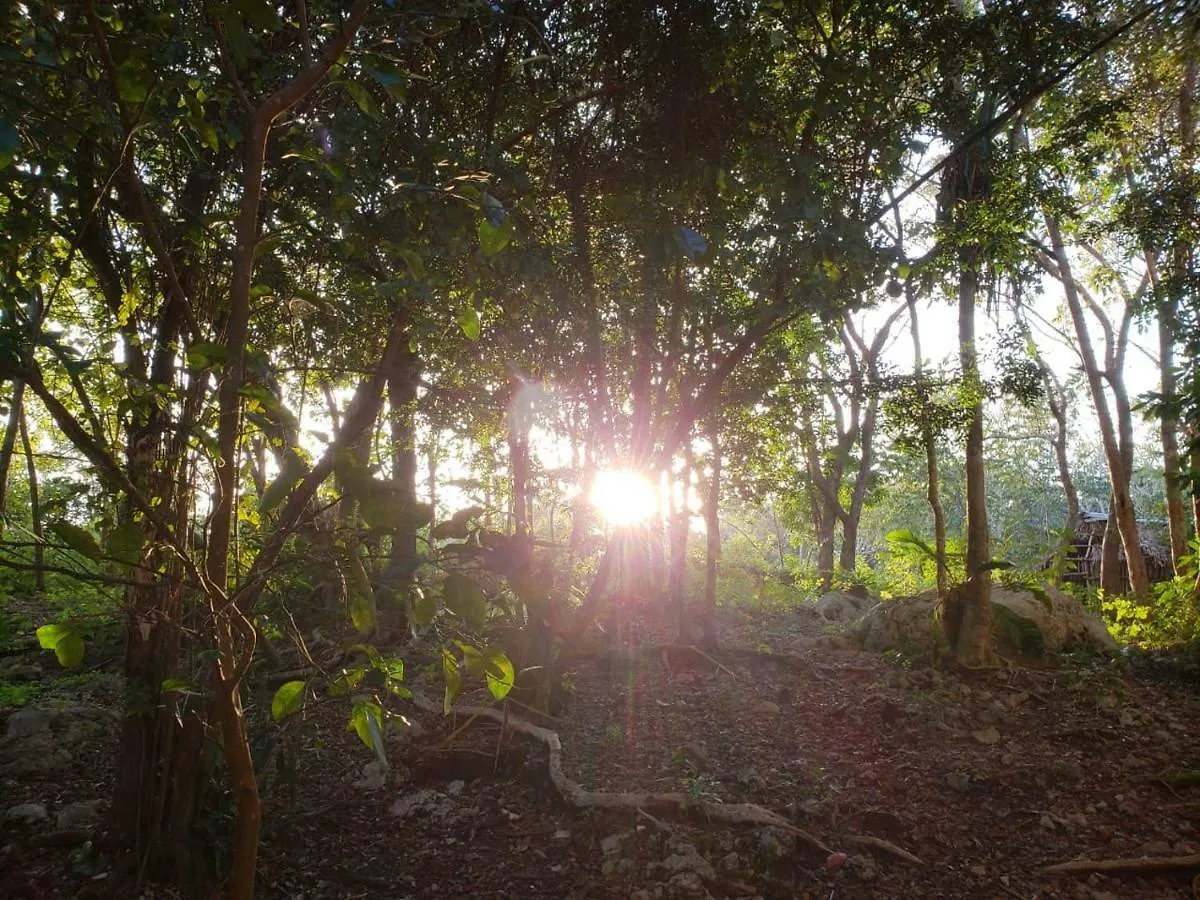 Carretera Tulum - Coba Km10 Hotel Mexico